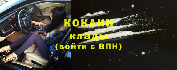 ГАЛЛЮЦИНОГЕННЫЕ ГРИБЫ Балахна