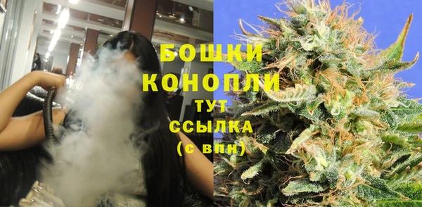 ГАЛЛЮЦИНОГЕННЫЕ ГРИБЫ Балахна