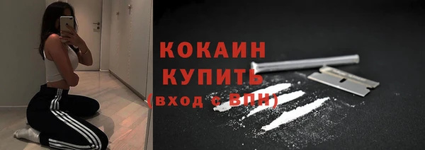 гидра Новодвинск