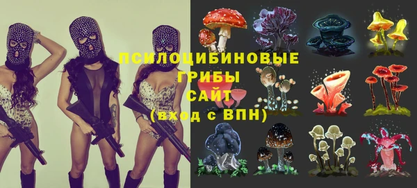 ГАЛЛЮЦИНОГЕННЫЕ ГРИБЫ Балахна